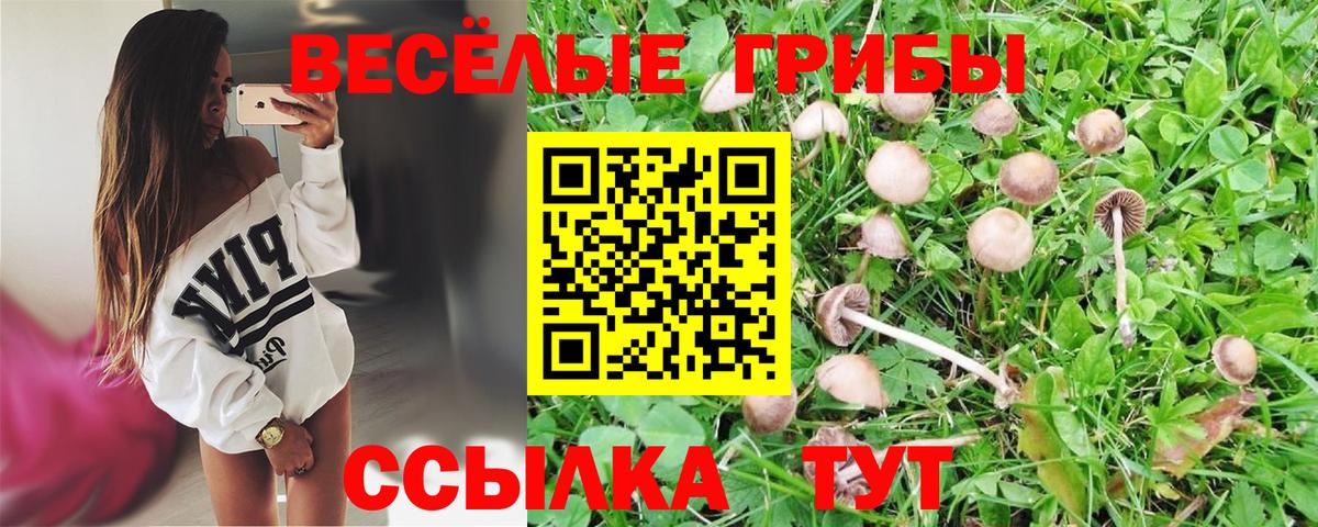 Галлюциногенные грибы ЛСД  где найти наркотики  Нововоронеж  Вход с VPN  Галлюциногенные грибы ЛСД 