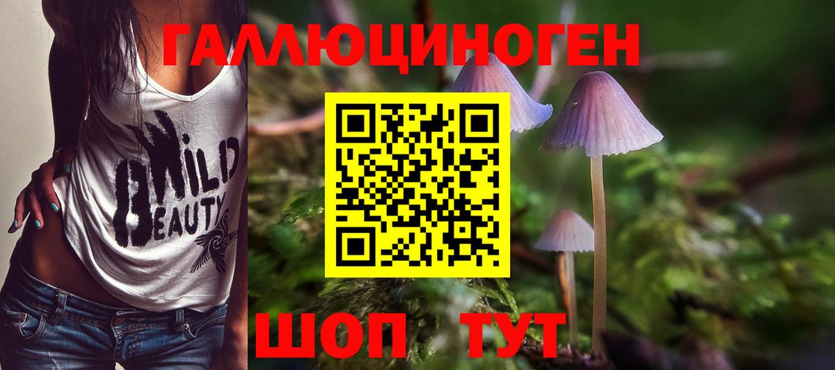 Псилоцибиновые грибы MAGIC MUSHROOMS Нововоронеж